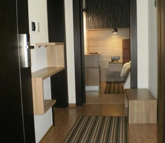 酒店 大都会酒店 2*