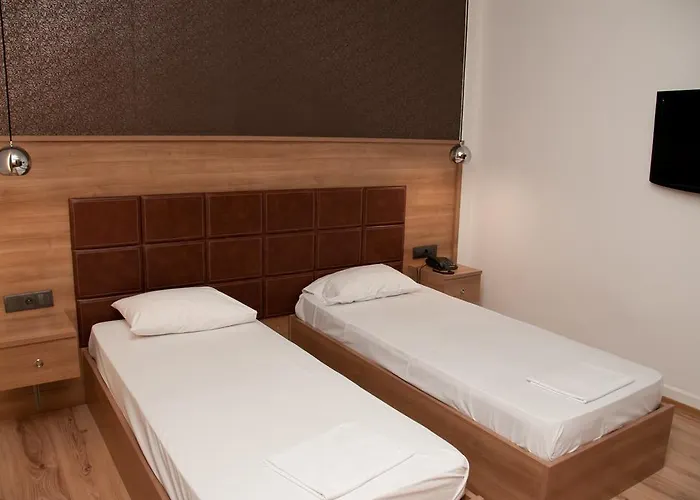 酒店 大都会酒店 2*