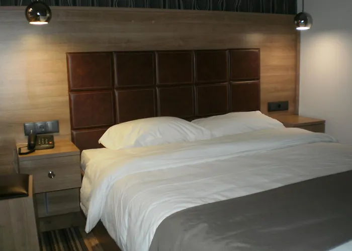 大都会酒店 2* 塞雷