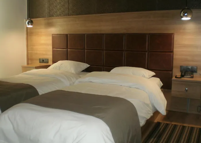 酒店 大都会酒店